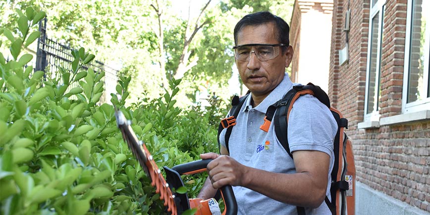 jardineria